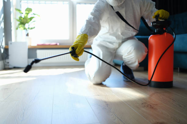 Reliable Sewage Cleanup contractor in Great Meadows, NJ by Trauma Clean Pros